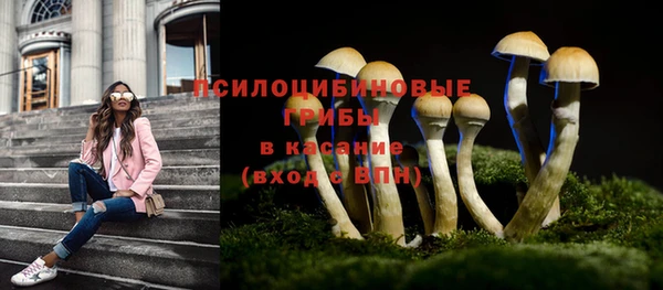 экстази Вяземский