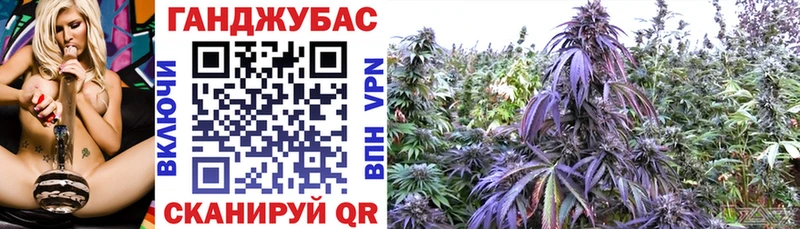 OMG ссылки  Волгодонск  Каннабис SATIVA & INDICA 